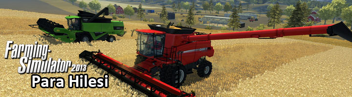 fs2013_parahilesi