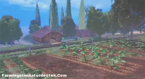 Domates ve Sera Yetiştiriciliğine Hazır Olun[Video]