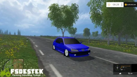 FS15 - Peugeot DT 306 Araba Yaması V1