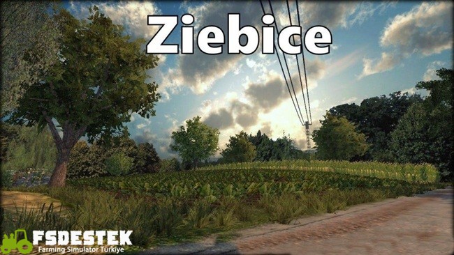 ziebice_harita