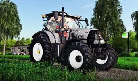 FS19 - Case Puma DCD Team V1.0