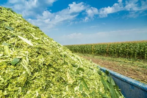 Farming Simulator Silaj sistemi