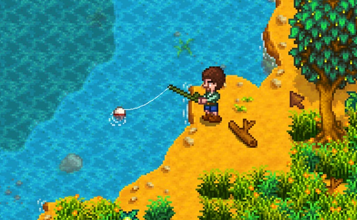 Stardew Valley Yaz mevsimi balık tutma