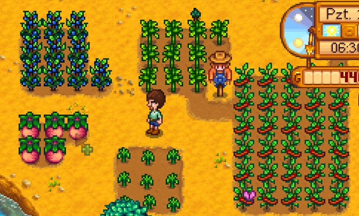 Yazın yetişen ürünler - Stardew Valley