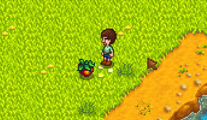Stardew Valley yaz mevsimi toplayıcılık ürünleri