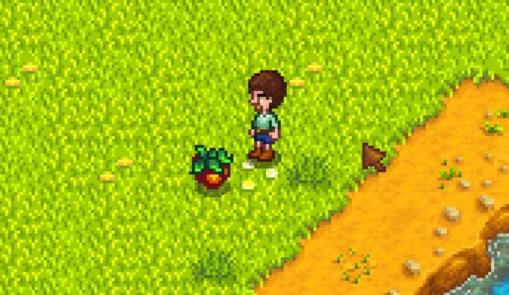 Stardew Valley yaz mevsimi toplayıcılık ürünleri
