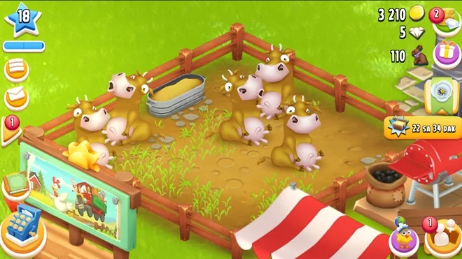 Hay Day İnek Merası