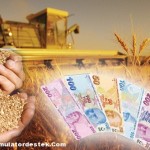 Bankalardan Çiftçiye Tarımsal Destek : Tarım Kredileri
