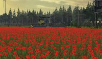 FS15 – Hollanda Çiftlik Haritası V2