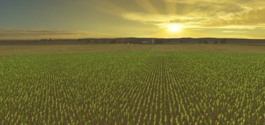 county_line_harita_01