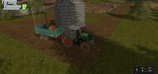 domuz_silo_binasi_fs17