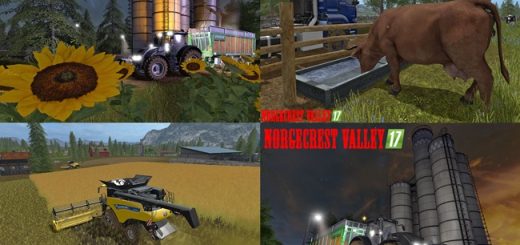 norge_crest_vadi_harita