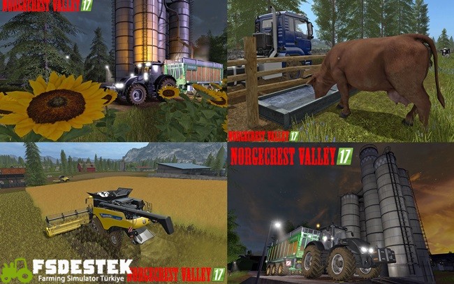 norge_crest_vadi_harita