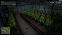 FS17 – Yerleştirilebilir Kenevir Serası