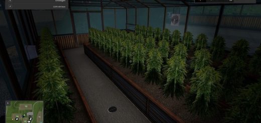 yerlestirilebilir_kenevir_serasi