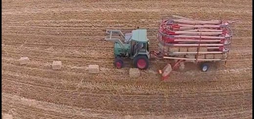 15259167_1112971995490289_4872416154247281403_o