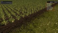 FS17 – Büyüme Kontrolü