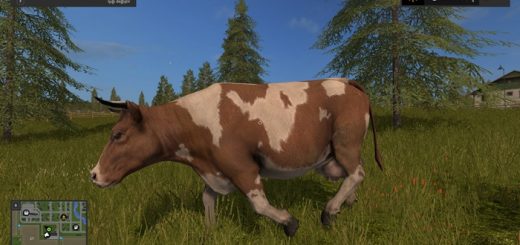 ineksatinalmarehberi