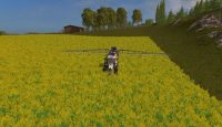 FS17 – Bjornholm 17 Çiftlik Haritası