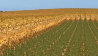 FS17 – Euro Çiftlik Haritası V1