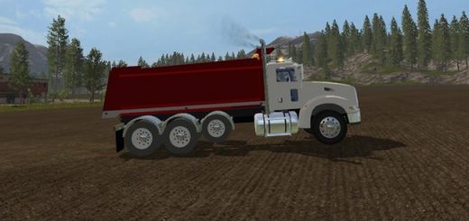 peterbilt_384_damperli_kamyon