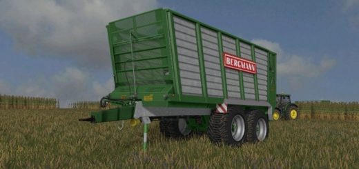 bergmann-thw-30-romork