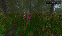 FS17 – Çimen Dokusu V1