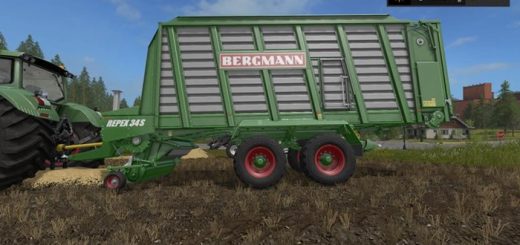 bergmann-34s--romork