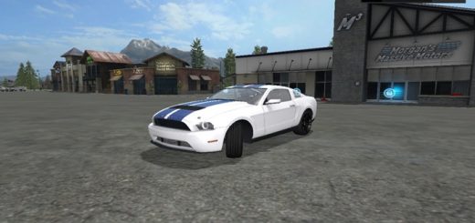 lizard-road-rage-shelby-araba