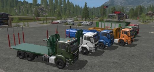 man-tgs-itrunner-kamyon