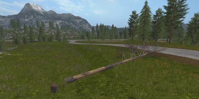 FS17 – Çam Objesi V1