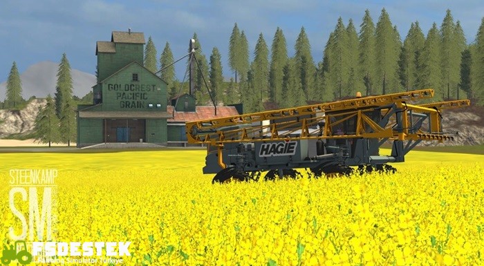 fs17-hagie-sts16