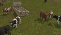 FS17 – Yerleştirilebilir Çeşme V1