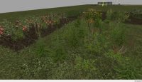 FS17 – Czysta Haritası V1