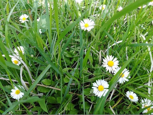 Hepinize Teşekkürler