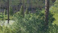 FS19 – Thuringia Orman Haritası V4