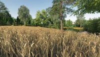 FS19 – Tymbarkowice Çiftlik Haritası V3