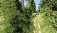 FS19 – Kijowiec Haritası V1.3