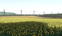 FS19 – La Petite Somme Haritası