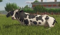 FS25 Epic Games Masaüstü Simgesi Nasıl Oluşturulur?