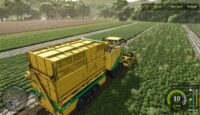 FS25 Ispanak Nasıl Yetiştirilir?