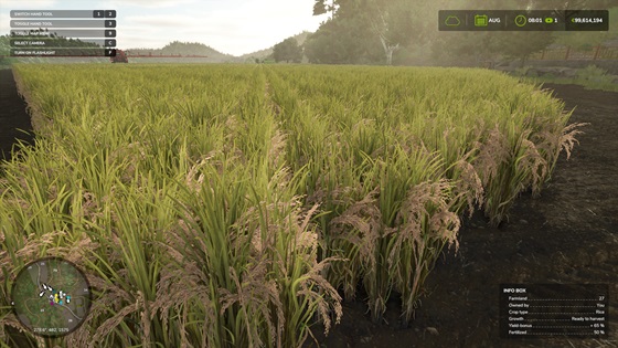 Farming Simulator 25’te Pirinç Nasıl Yetiştirilir?