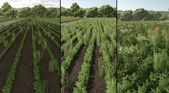 FS25’te Yabani Otlarla Mücadele Etmek