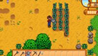 Stardew Valley Sulama Kabı Ne İşe Yarar? Nasıl Yükseltilir?