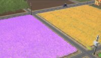 Farm Manager World Ticaret Sözleşmeleri