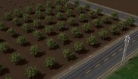 Farm Manager World Organik Ürün Yetiştirme