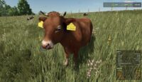 FS25 Gelişmiş Hayvancılık Sistemi Modu İndir