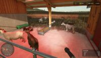 FS25 – Keçi Beslemek ve Keçi Sütü Üretmek